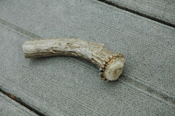 Antler Knife Handle Knife Handle Antler Handle Shed Antler